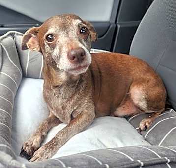 Photo of Killer