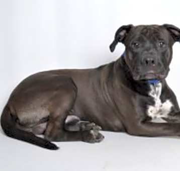 Photo of Aero