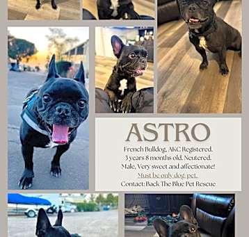 Photo of Astro
