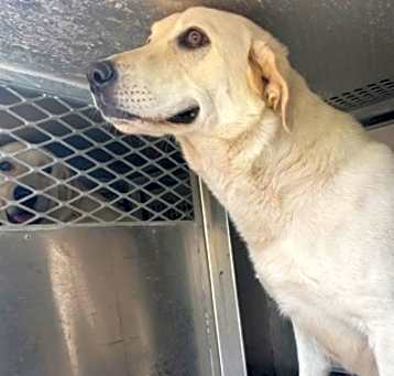 Photo of Cheyenne G 5/13/25