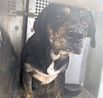 Photo of Lill DIRL 5/13/25
