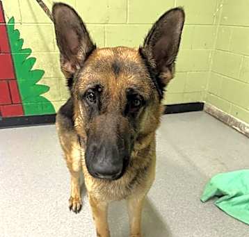 Photo of CAMI