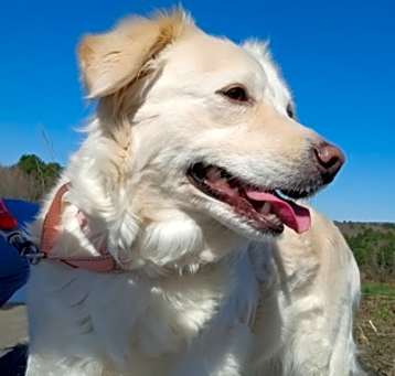 Photo of Ruby