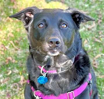 Photo of Hecate