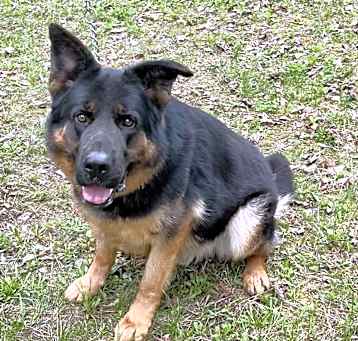 Photo of Remi
