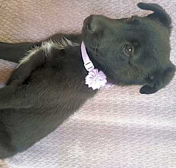 Photo of Winnie