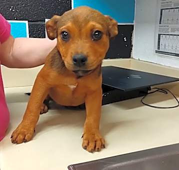 Photo of Monty