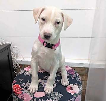 Photo of Winnie