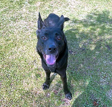 Photo of Kaya