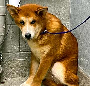 Photo of *JESSIE