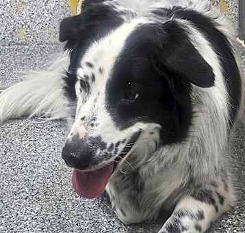 Photo of Waylon