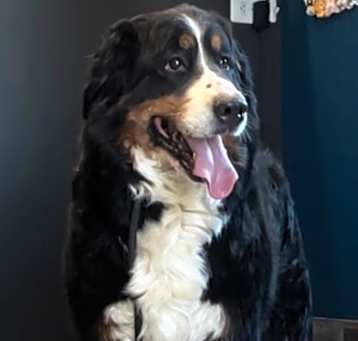 Photo of Ruby