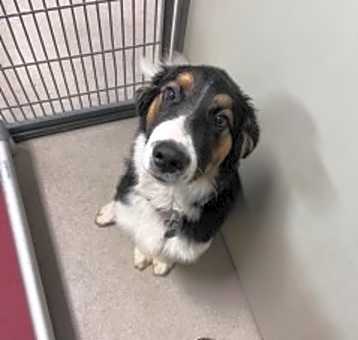 Photo of Arlo 124186
