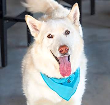 Photo of Ghost