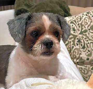 Photo of Kira