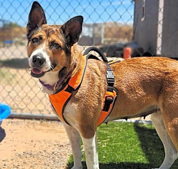 Photo of Annie