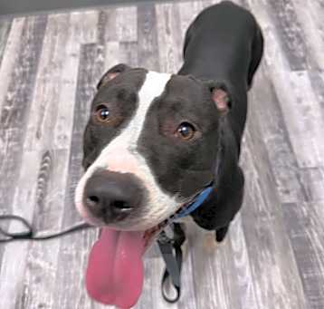 Photo of Cash 