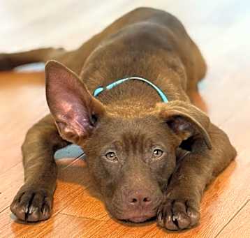 Photo of Simon