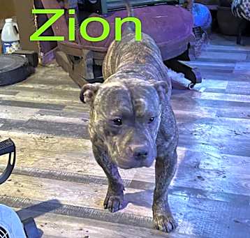 Photo of Zion