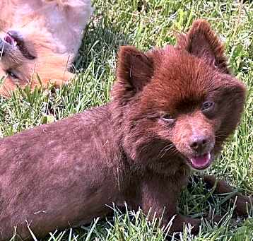Photo of Rueben