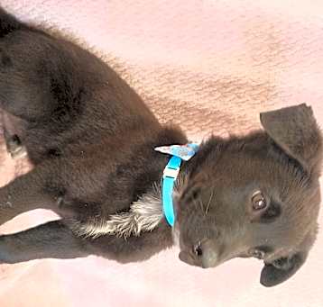 Photo of Wilbur