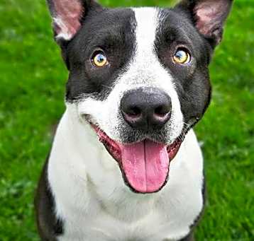 Photo of EMMETT
