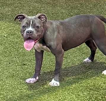 Photo of Cha Cha