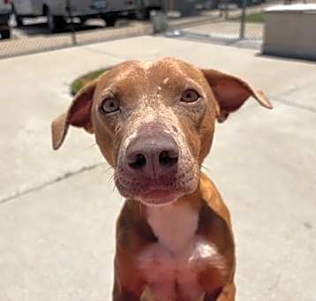 Photo of MORTY