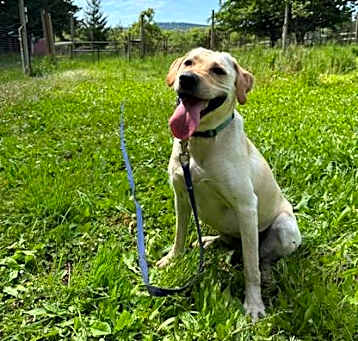 Photo of Oakley