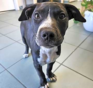 Photo of Hope