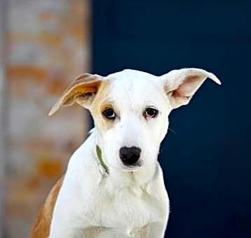 Photo of Winnie Rose