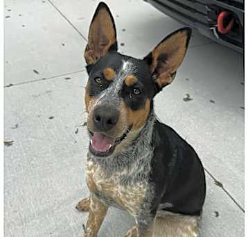 Photo of Nova