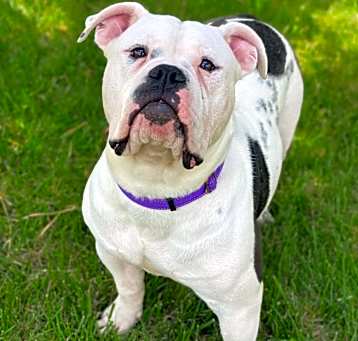 Photo of Victor