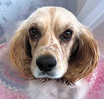 Photo of Lulu B414