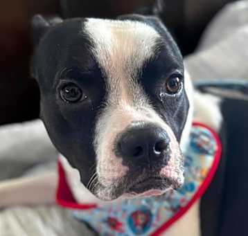 Photo of LACI