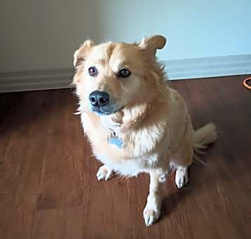 Photo of Aspen