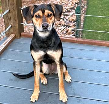 Photo of Bella