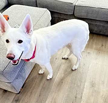Photo of Weda
