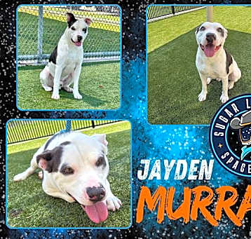 Photo of JAYDEN MURRAY