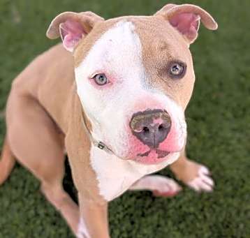Photo of LOTTO