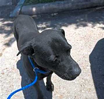 Photo of A637257