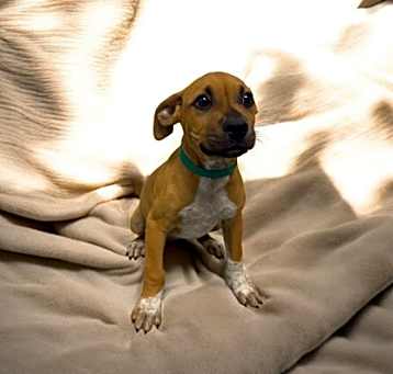 Photo of Clyde