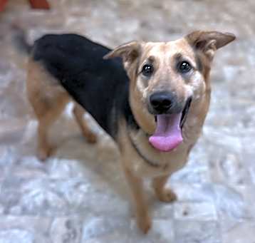Photo of Sugar