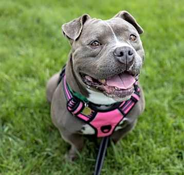 Photo of Zeke