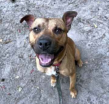 Photo of Jessie
