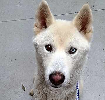 Photo of Jazz