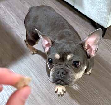 Photo of Lovelie 