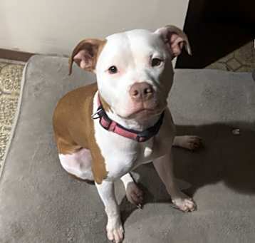 Photo of Diamond