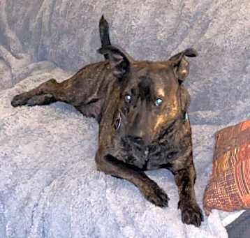 Photo of Kyro