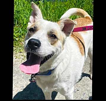 Photo of Peggy Sue